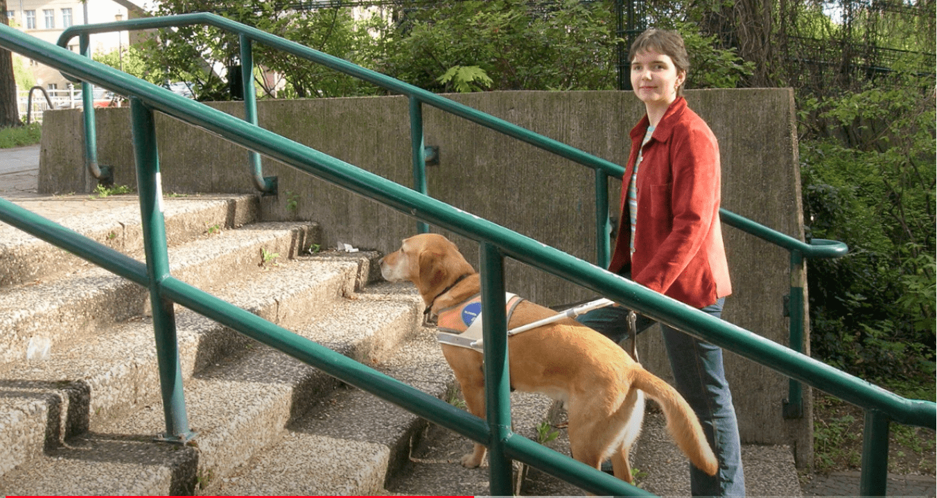 Auf der Reise durchs Leben mit Blindenführhund - Video