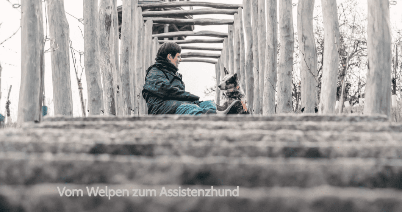 "Vom Welpen zum Assistenzhund" - Video