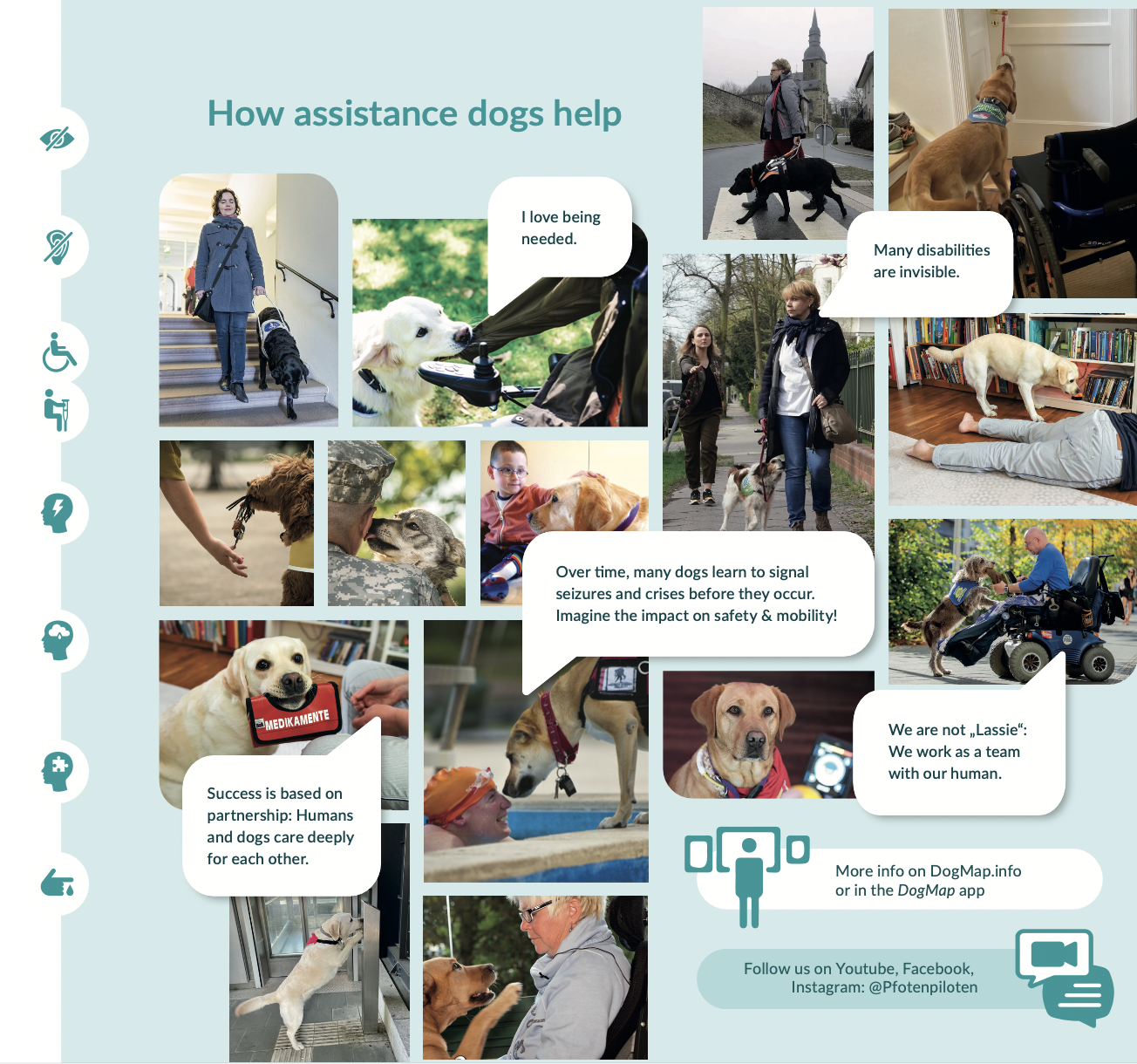 Different types of assistance dogs are presented with pictures and keywords.