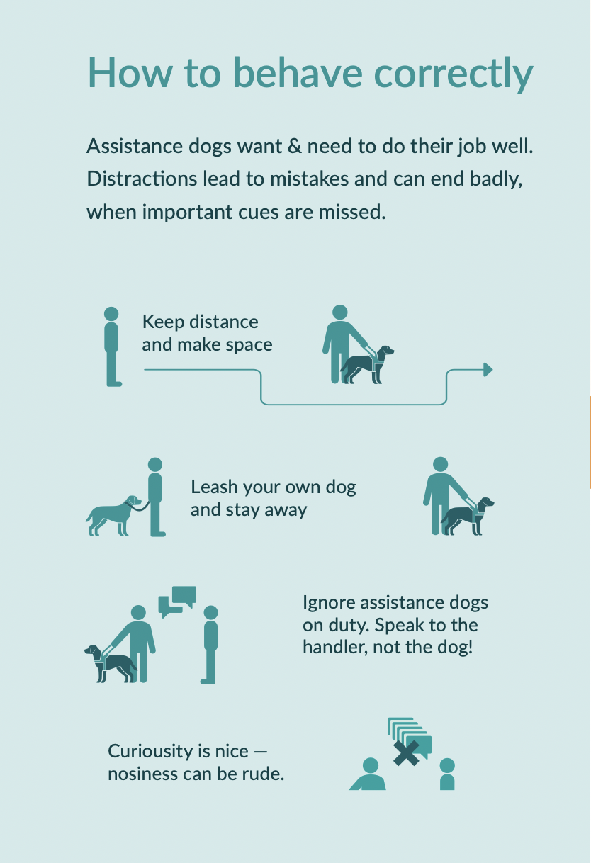 Illustrated with simple drawings, the picture explains the correct behaviour for assistance dog teams. Assistance dogs want to do their job well. Distraction can be a bad thing because they could miss important signals. Rule 1: Keep your distance and give way. Rule 2: Keep your own dogs on a lead and keep them away. Rule 3: Ignore assistance dogs on duty. Address the owner, not the dog. Rule 4: Interest is nice - curiosity is annoying.