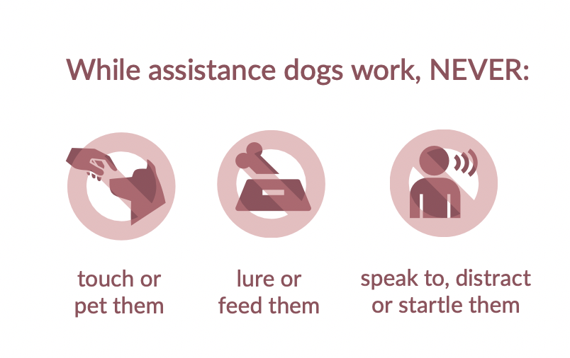 What not to do around assistance dogs, plus signs for "do not touch or stroke", "do not lure or feed", "do not approach, distract or frighten".