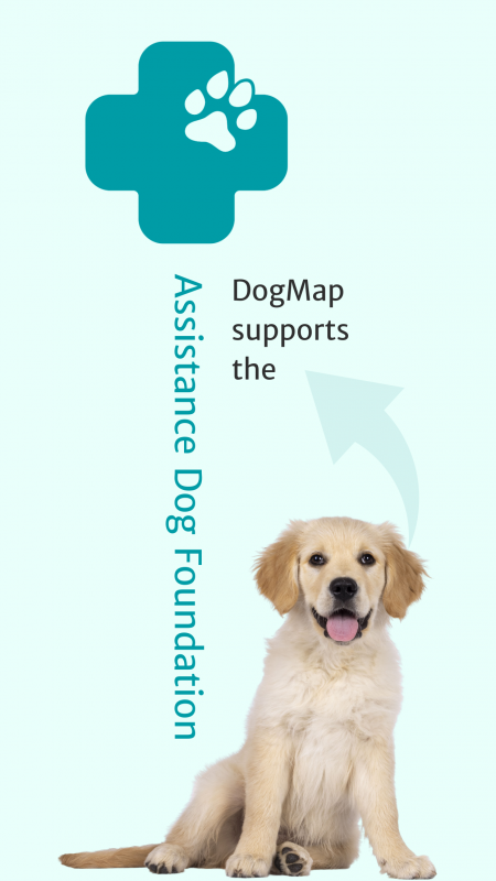 A smartphone screen shows an advertising image for the DogMap Assistance Dog Foundation. At the top of the image is a large, turquoise-coloured symbol with a paw print. Below this, 'DogMap promotes' is written in turquoise lettering. At the bottom is a young golden retriever puppy looking directly into the camera and happily sticking out its tongue.